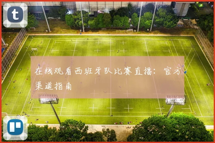 在线观看西班牙队比赛直播：官方渠道指南