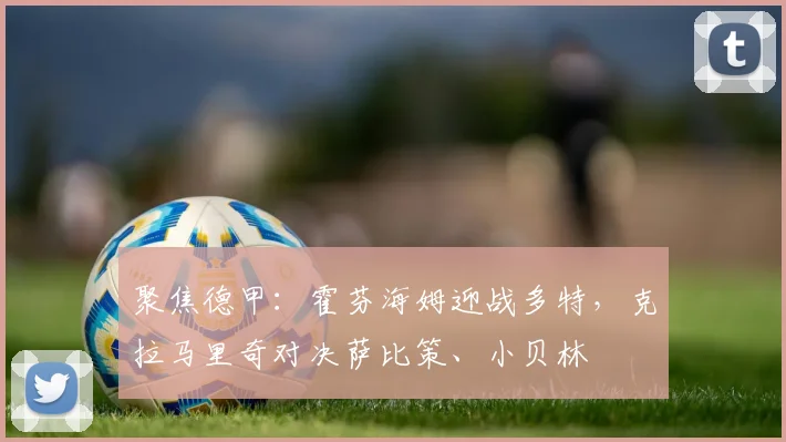 聚焦德甲：霍芬海姆迎战多特，克拉马里奇对决萨比策、小贝林